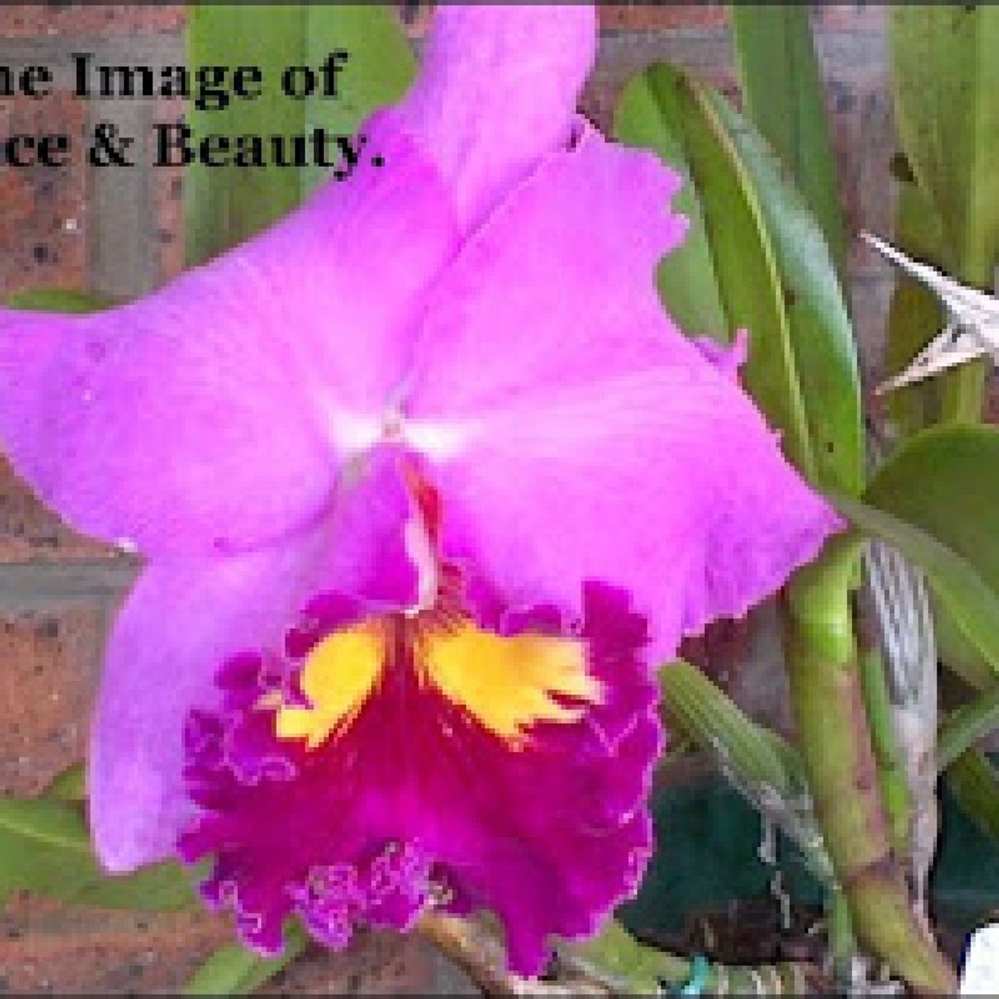 Times Of Refreshing Radio