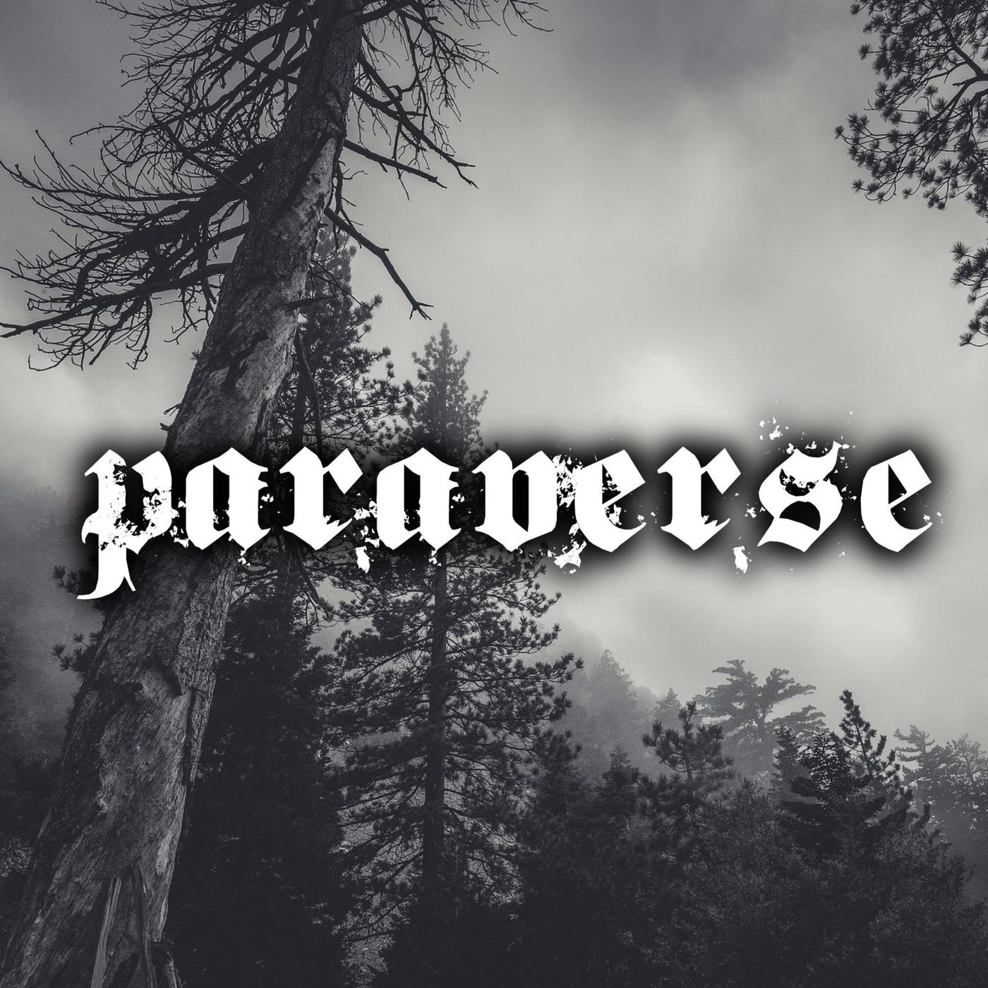 Paraverse - Live show and podcast series