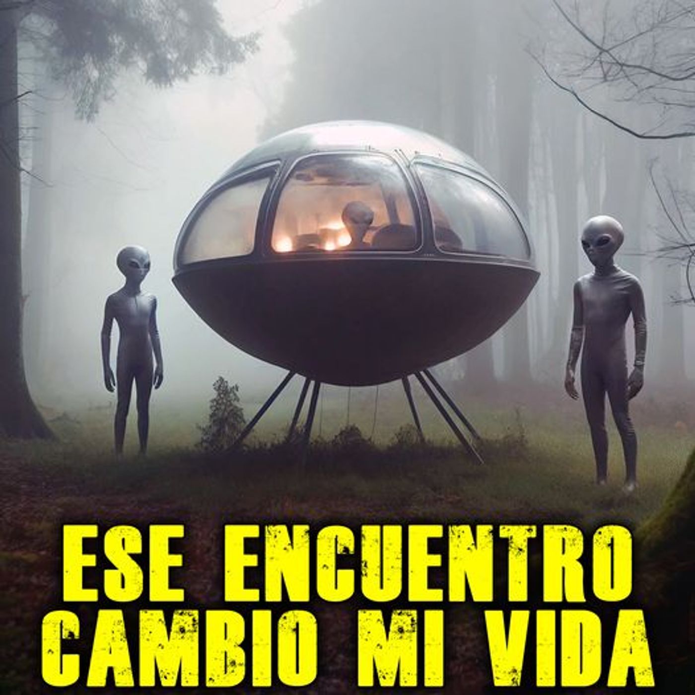 Fui TESTIGO de lo INEXPLICABLE | Casos en Argentina #misterio #sinresolver #aliens episode artwork