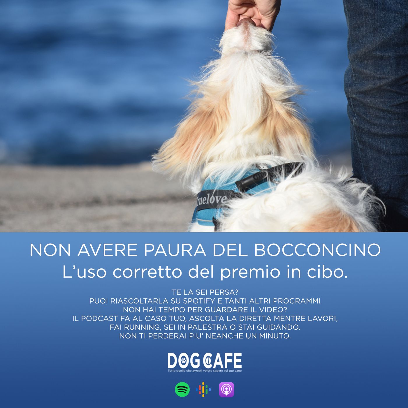 Dog Cafe Podcast