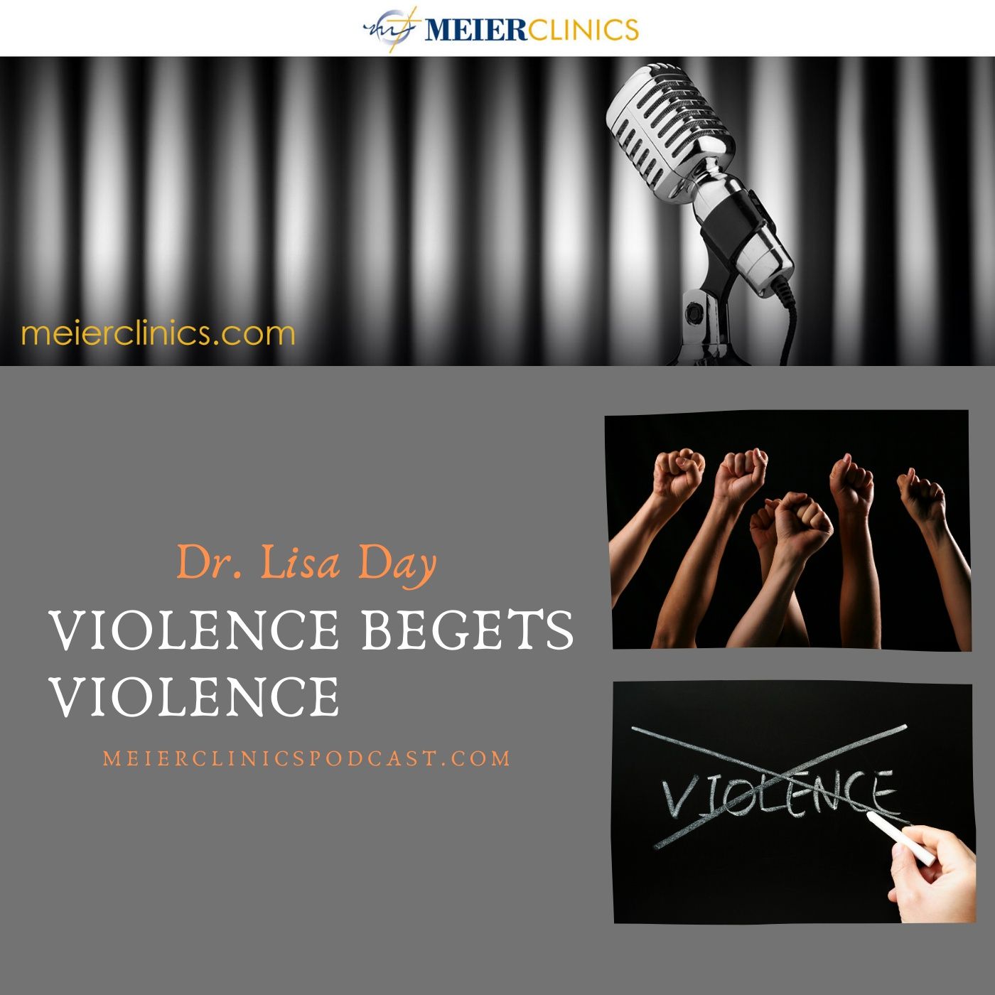 Violence Begets Violence with Dr. Lisa Day