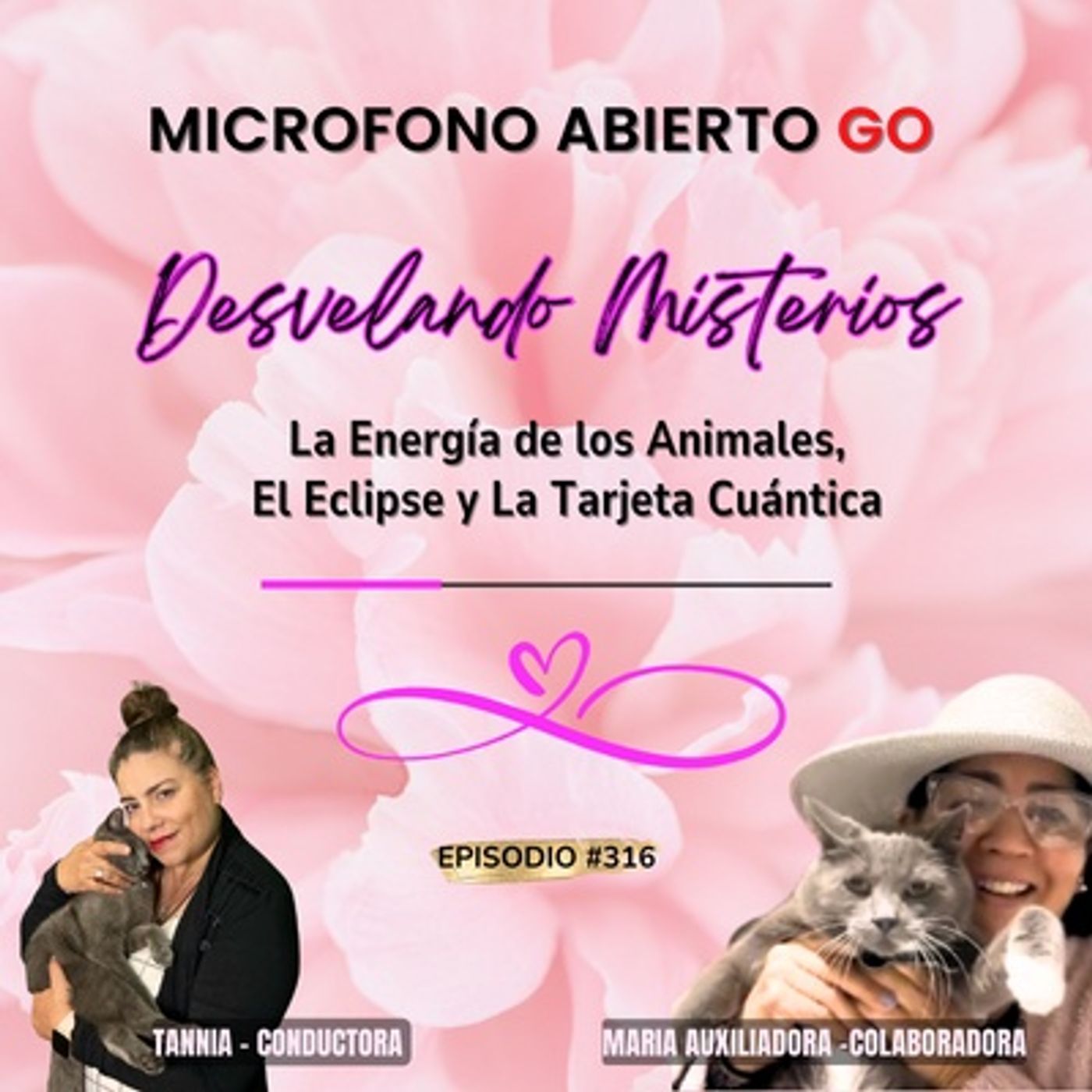 MICROFONO ABIERTO GO