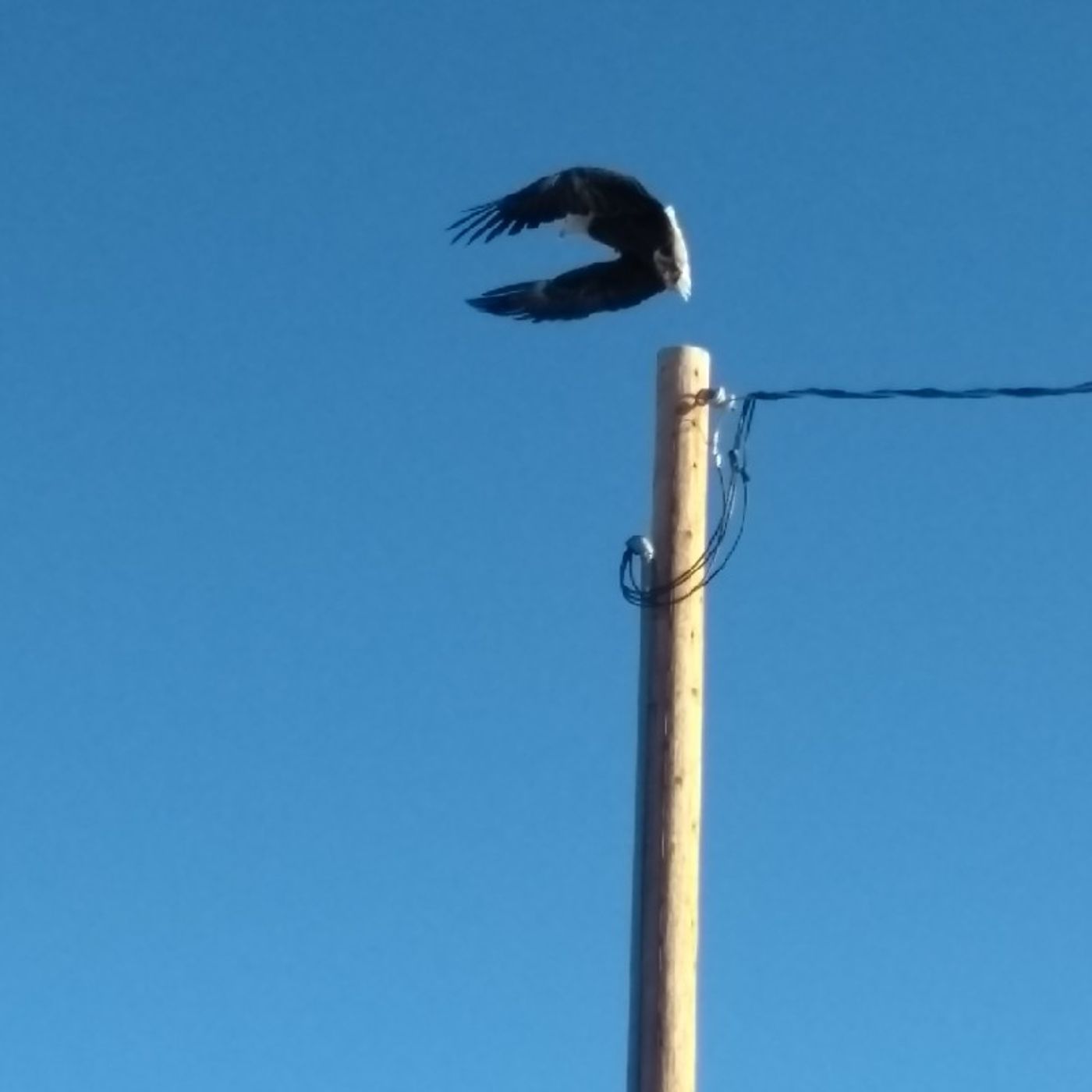 Episode 14 - Journey Into Freedom Episode 14 - Journey Into Freedom