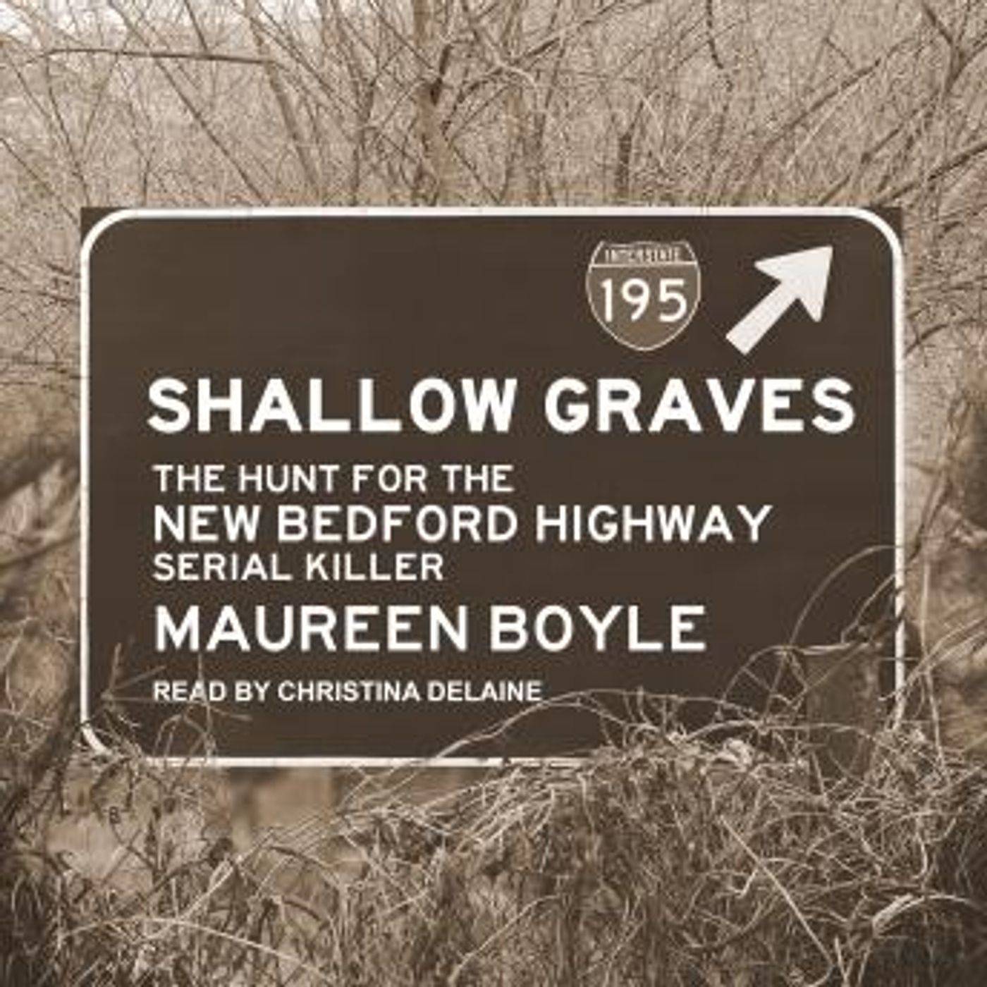 Access Essential Full Audiobooks in Mystery, Thriller & Horror, True Crime