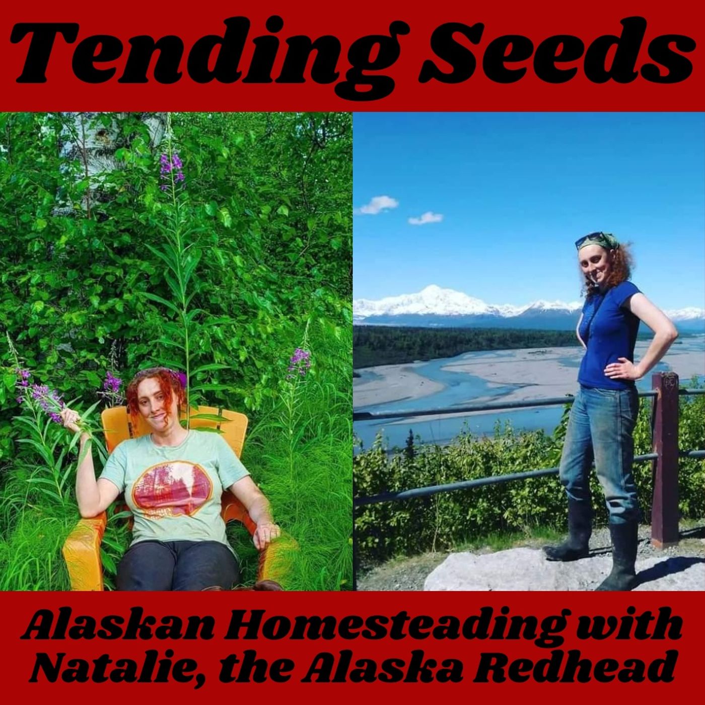 Tending Seeds: Adventures in Gardening