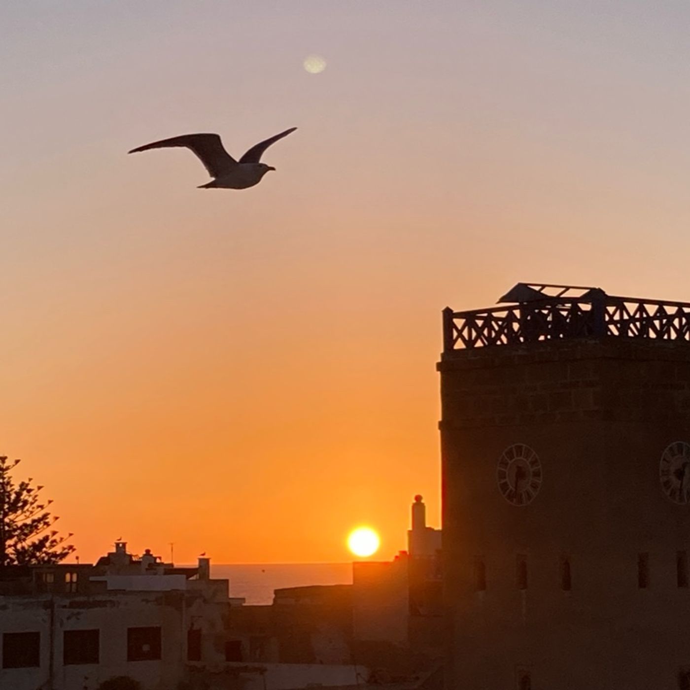 Lovely Essaouira - Safetyzone - Hotel Sahara in der Medina