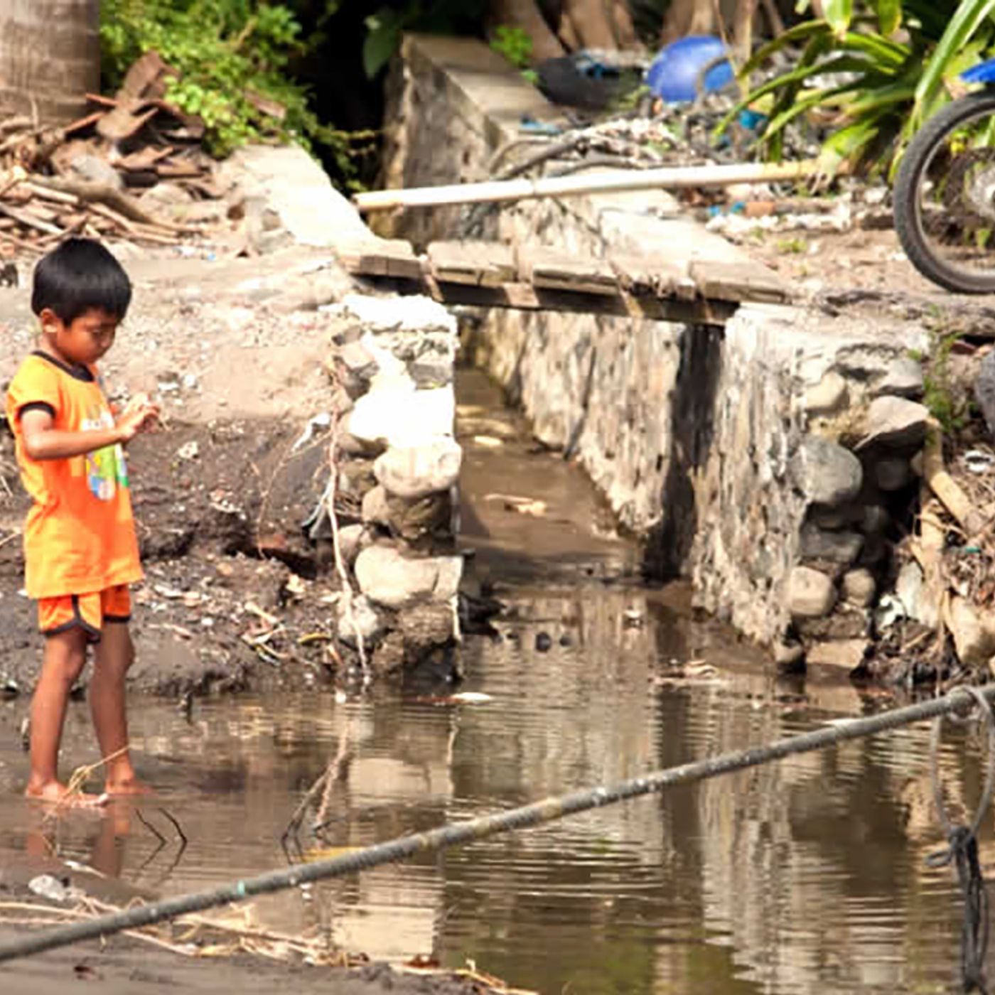 La dimensión ambiental, una de las dimensiones de las desigualdades