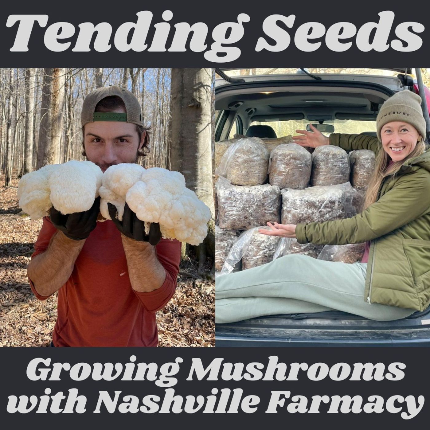 Tending Seeds: Adventures in Gardening
