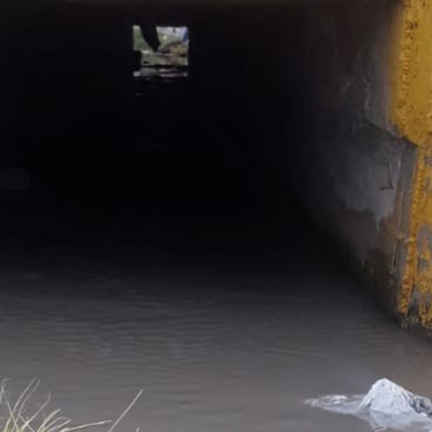 Historias de Miedo Junio 4 2021 EL PEQUEÑO DE DURANGO