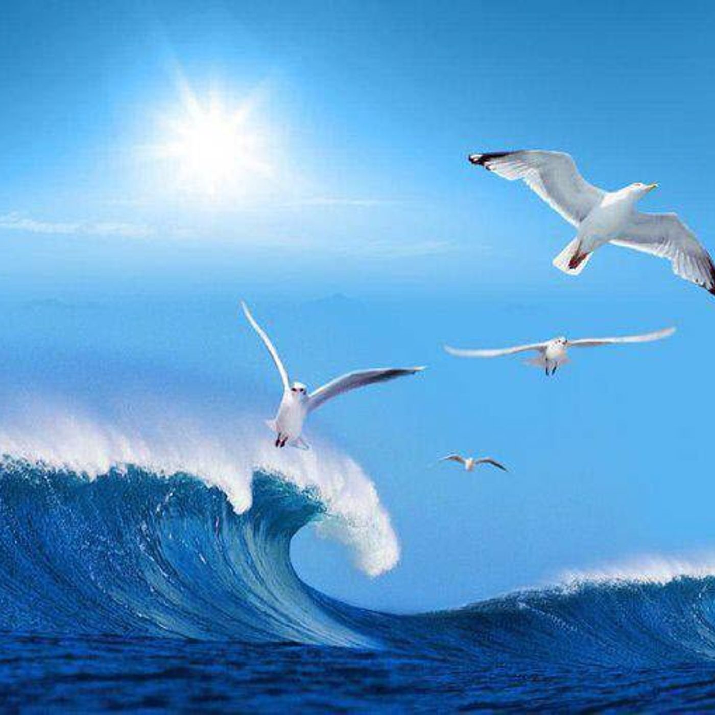 Copertina di Filosofia Quantica Torino Michele