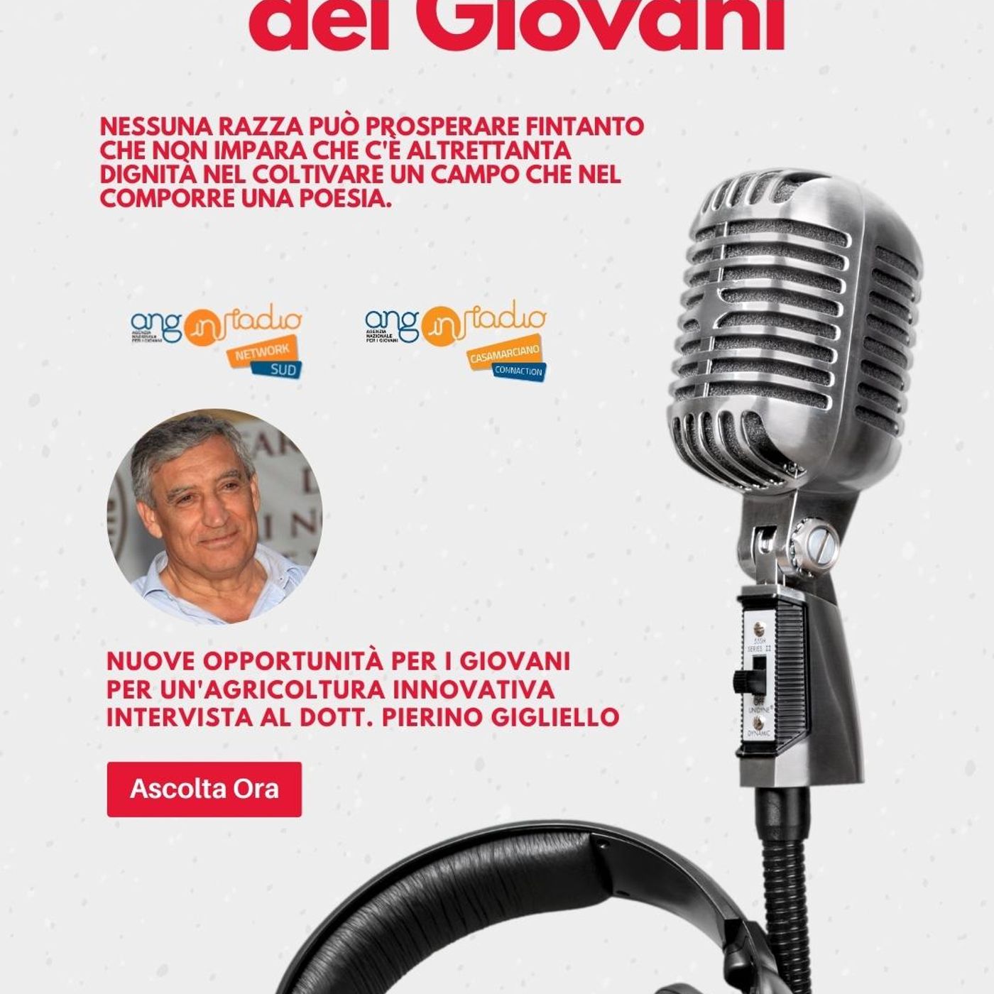 ANG inRadio Network SUD