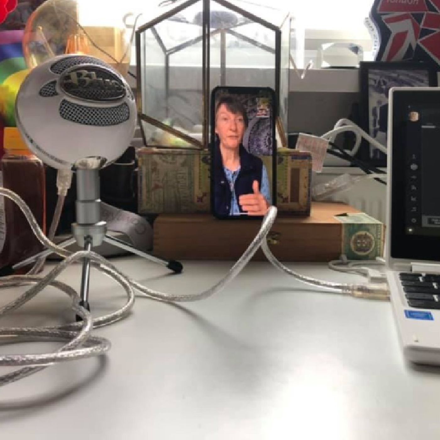 Episode 8 - Bipey Fox - Reversing Bipolar by Lynn Marie Jackson