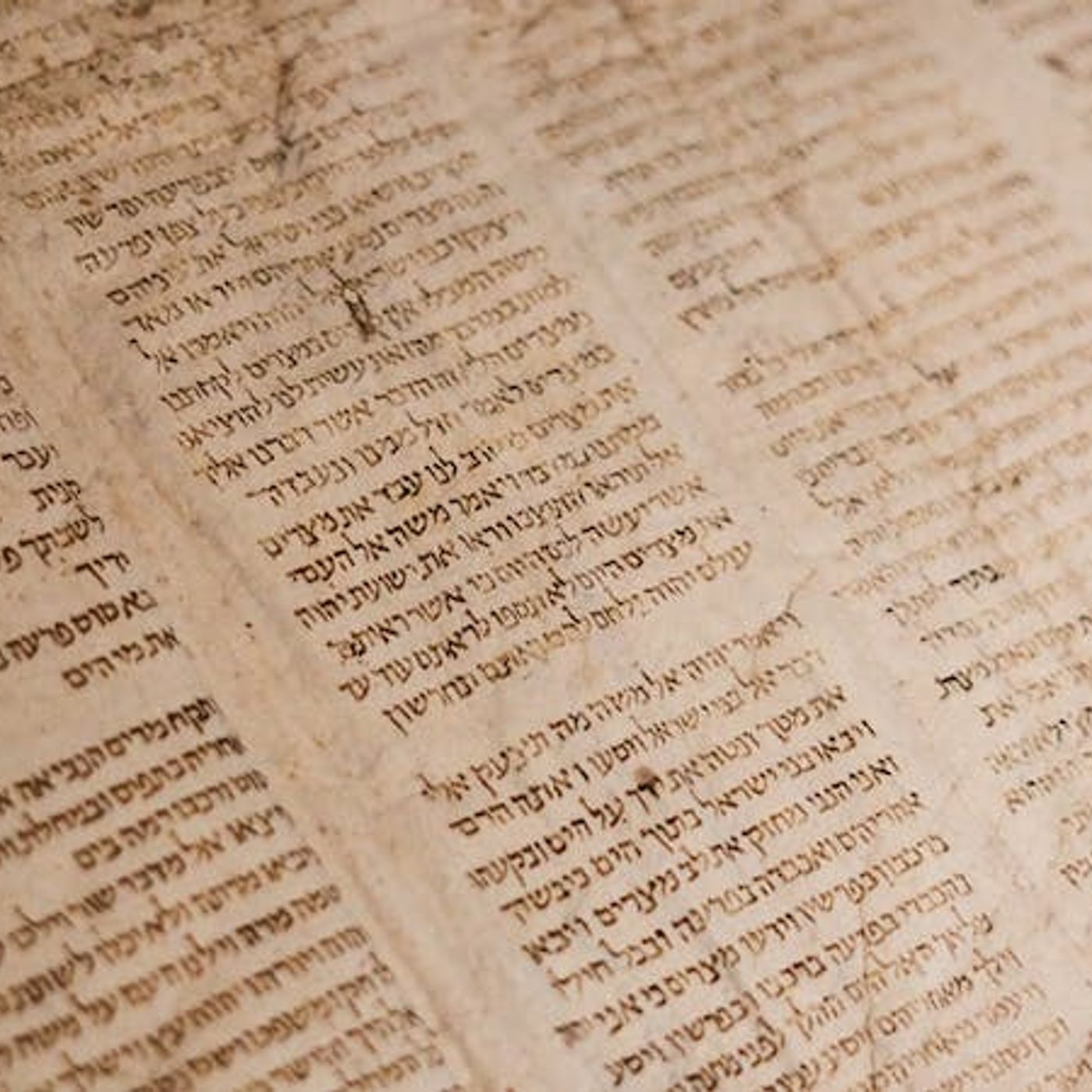 Why We Believe the Bible episode artwork