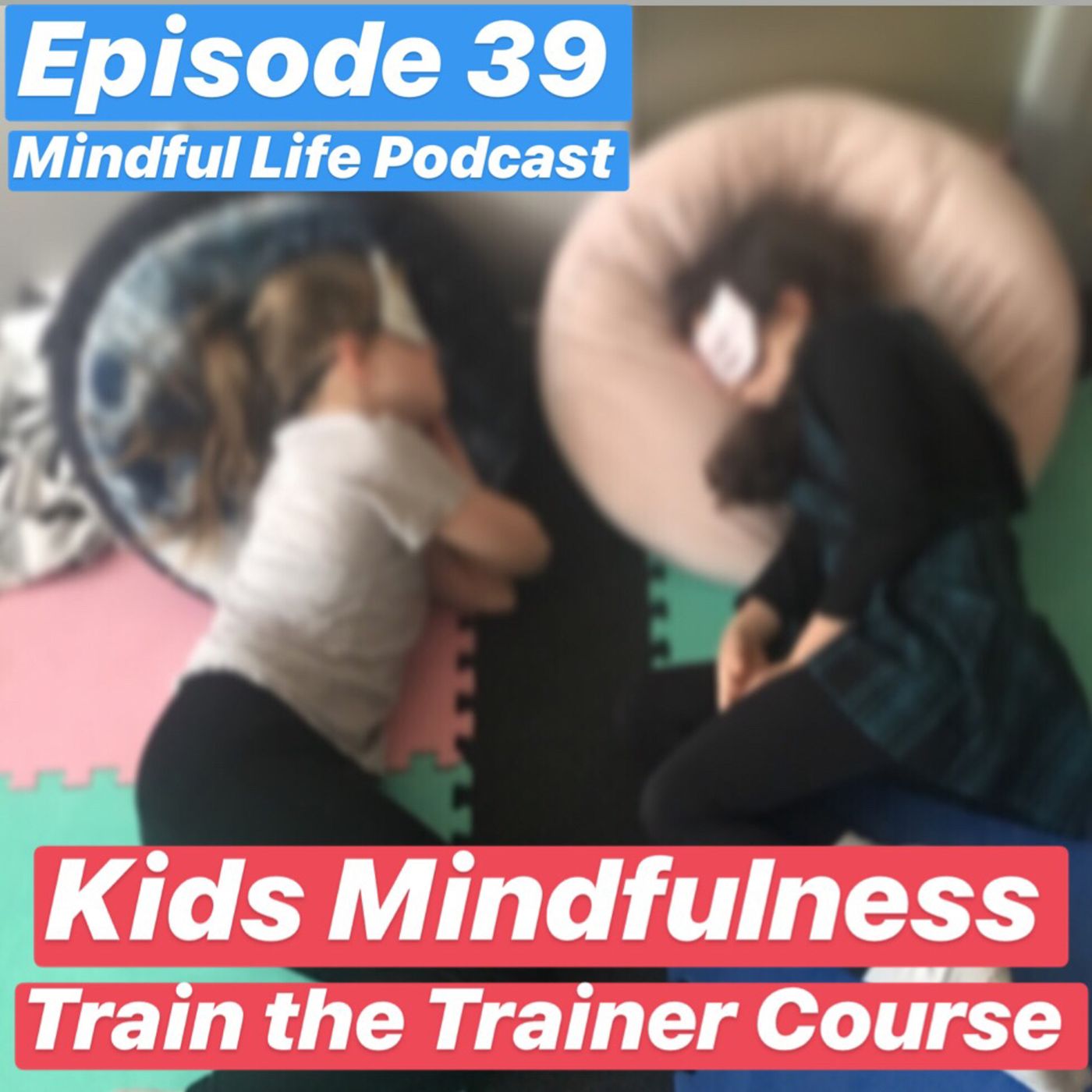 Mindful Life Podcast