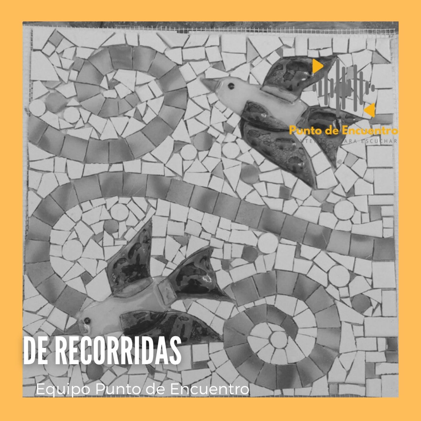 DE RECORRIDA