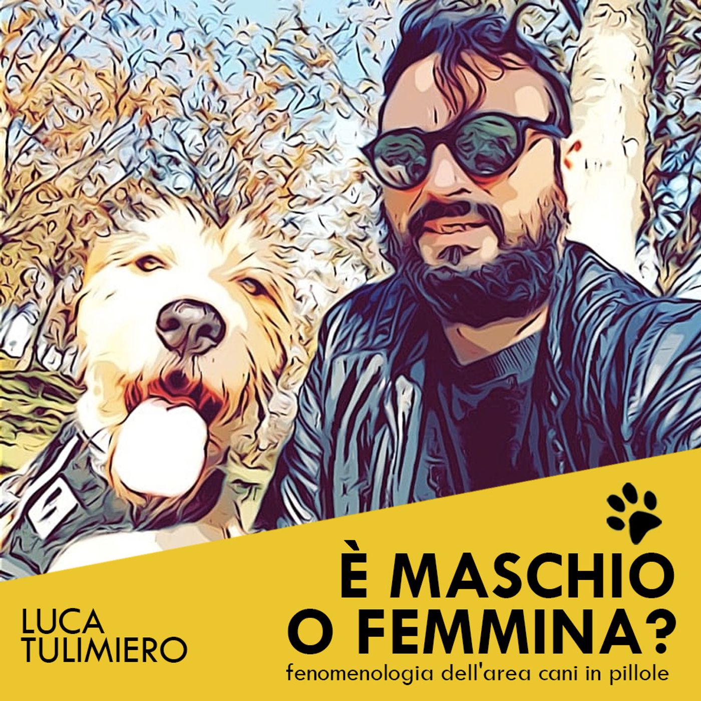 È maschio o femmina? podcast artwork