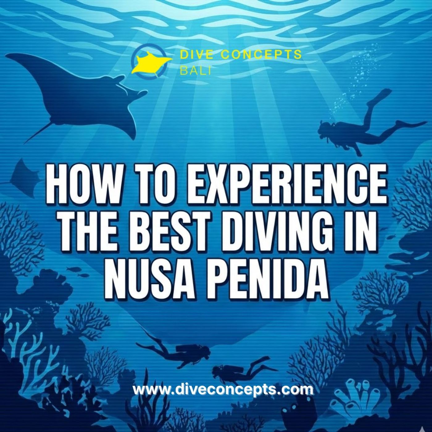 How to Experience the Best Diving in Nusa Penida episode artwork