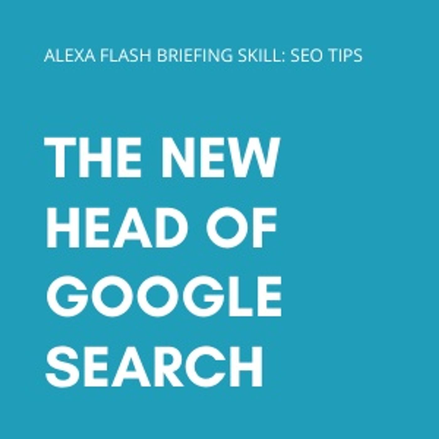 Daily SEO Tips