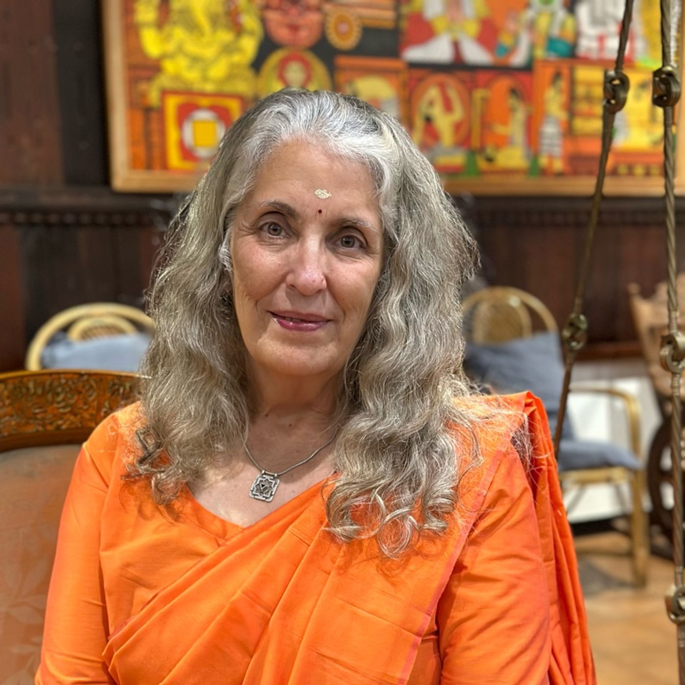 The Go-Go-Go Syndrome & Stillness. A Wisdom Circle Satsang with Swamini Shraddhananda Saraswati 03162025 episode artwork