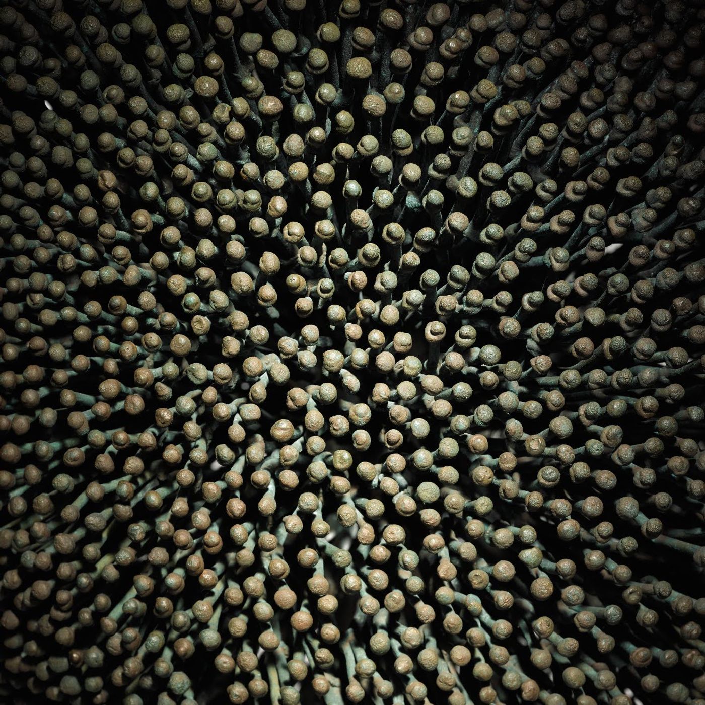 Harry Bertoia Podcast