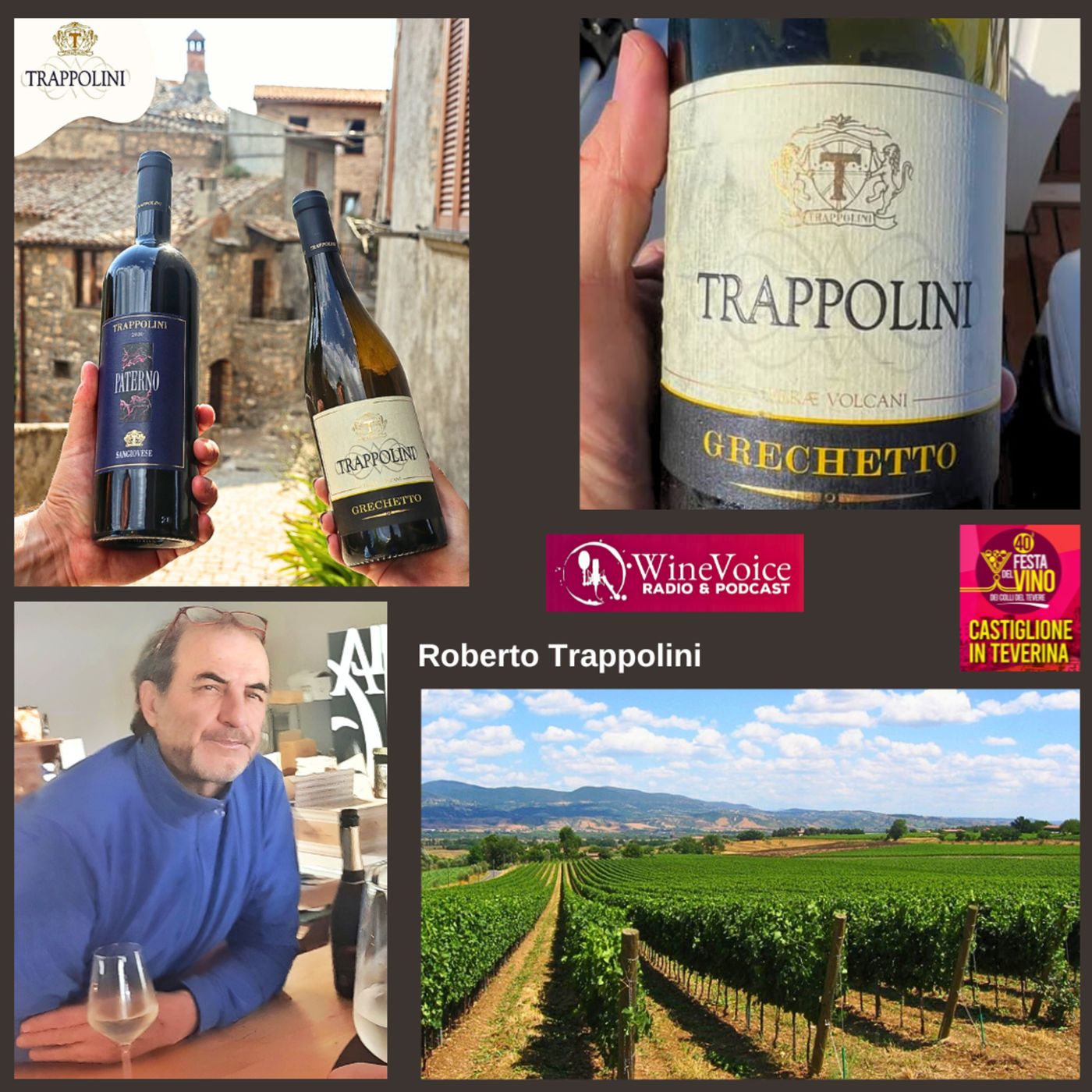 Le Terre del Vino: 40° Festa del Vino Colli del Tevere - TRAPPOLINI (Alta Tuscia) episode artwork