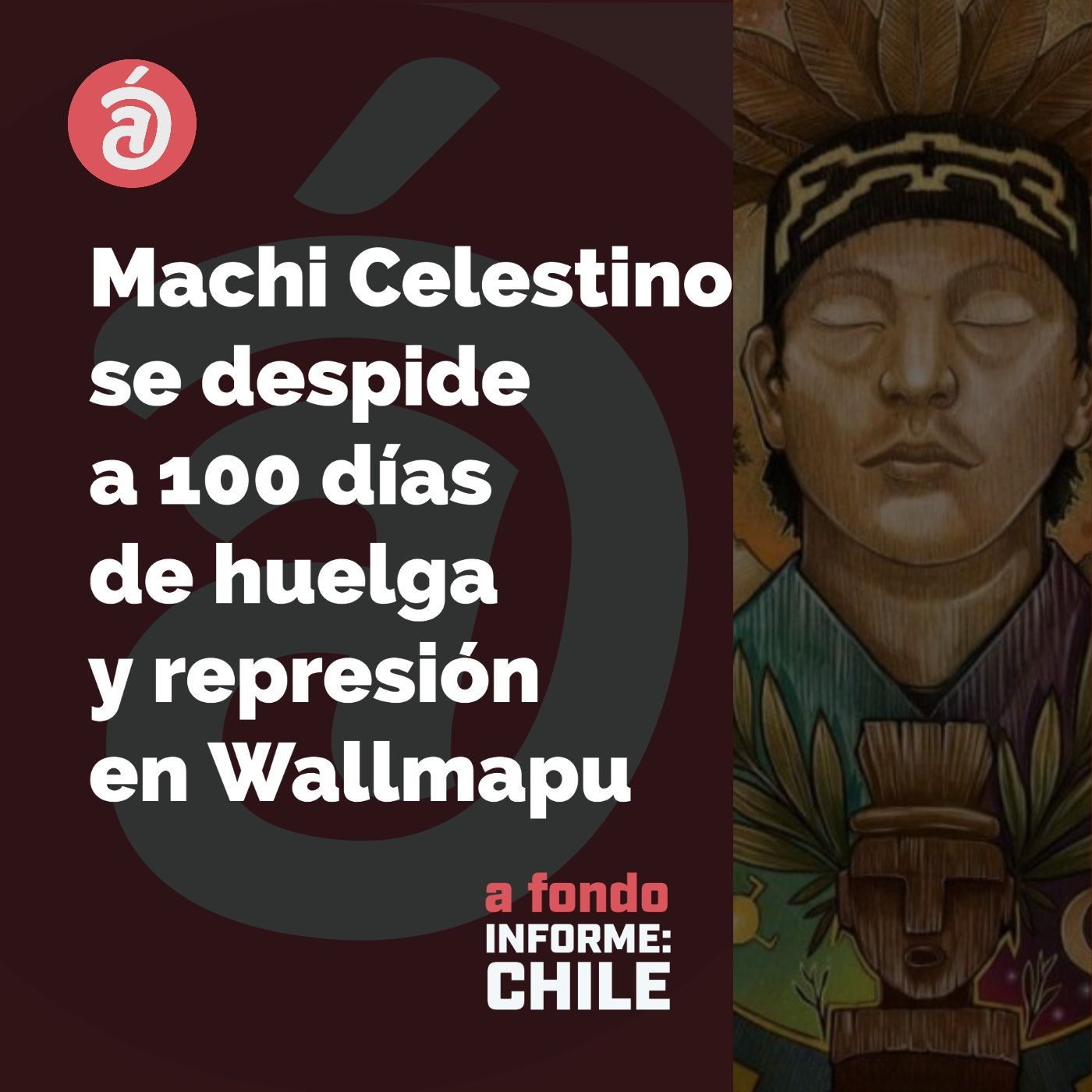 Las palabras del machi y la petición por no más racismo ni militarización en Wallmapu a 100 días de huelga mapuche: