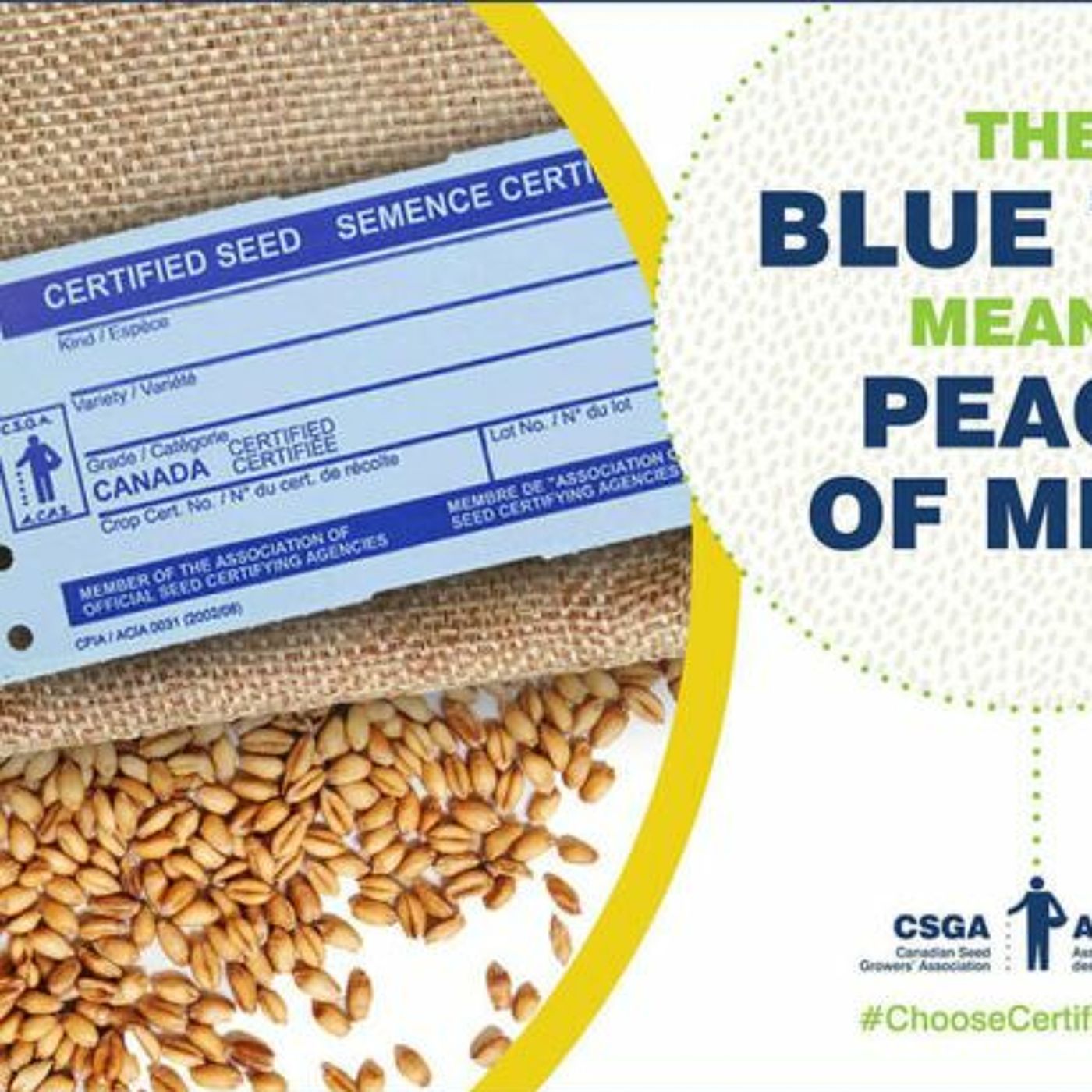 CSGA's Blue-Certified Tag Goes Digital episode artwork