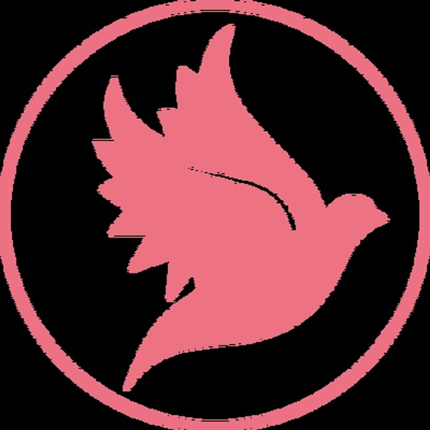 ILLUMINED HUB's show