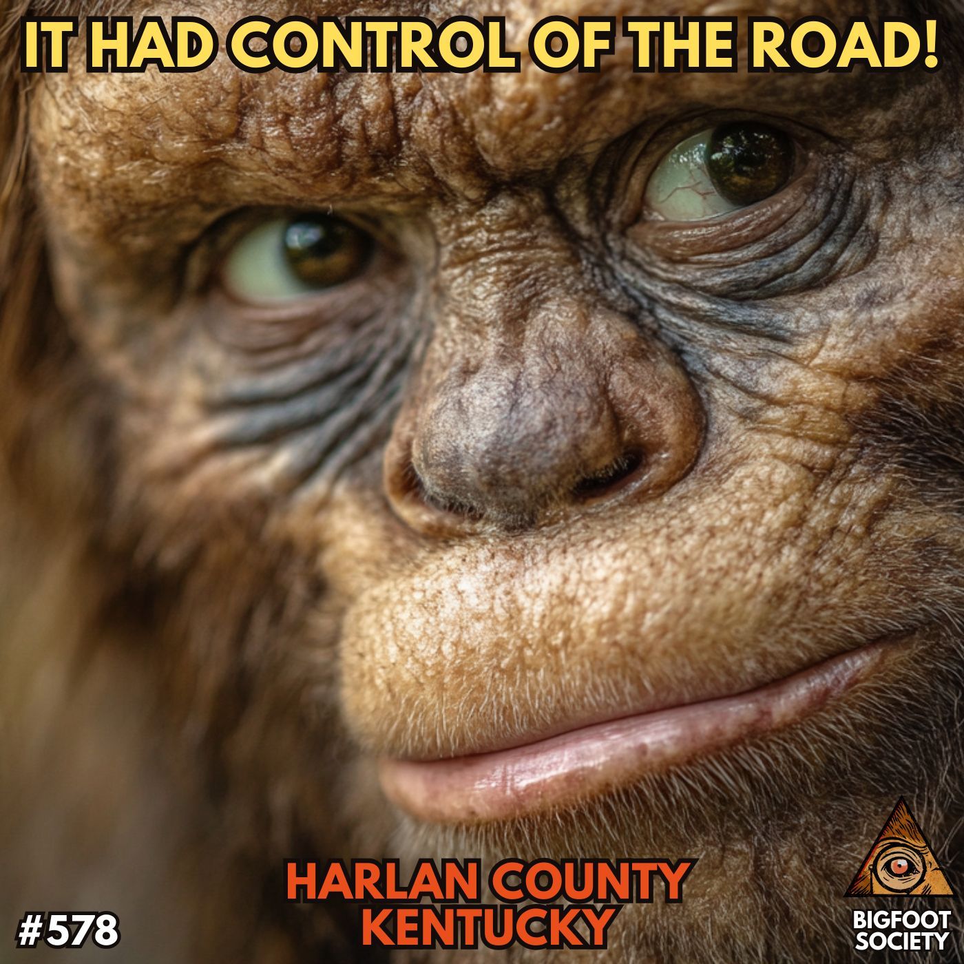 Face to Face as it Crossed the Road! | Harlan County, Kentucky