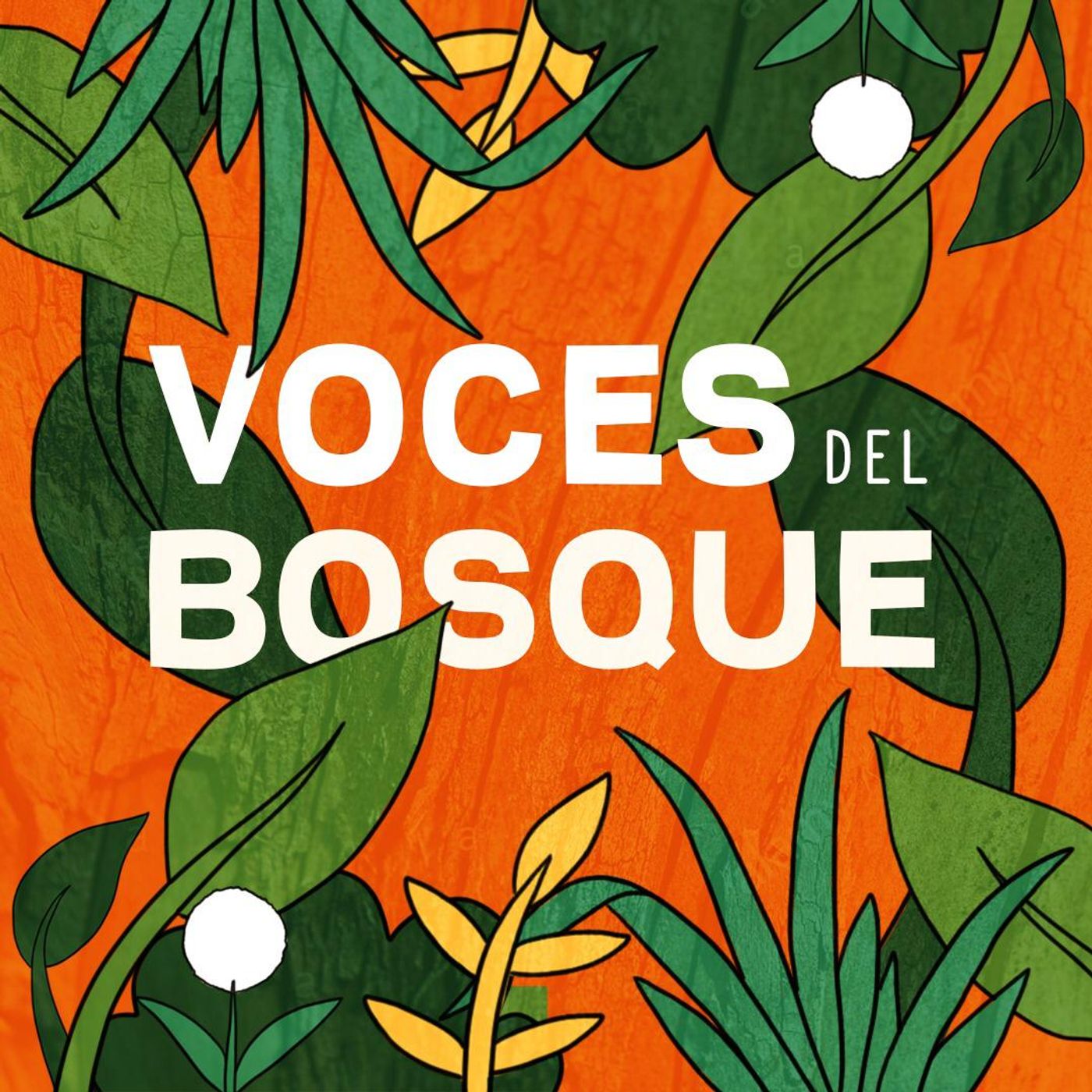 Voces del Bosque