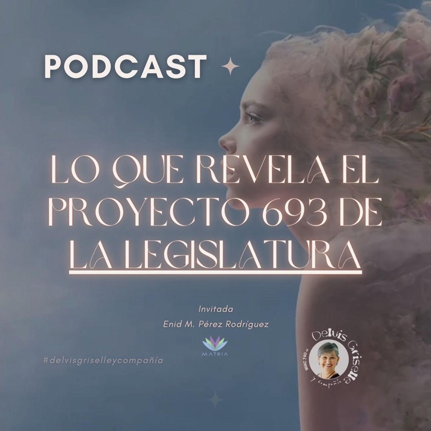 Lo que revela el proyecto 693 de la Legislatura episode artwork