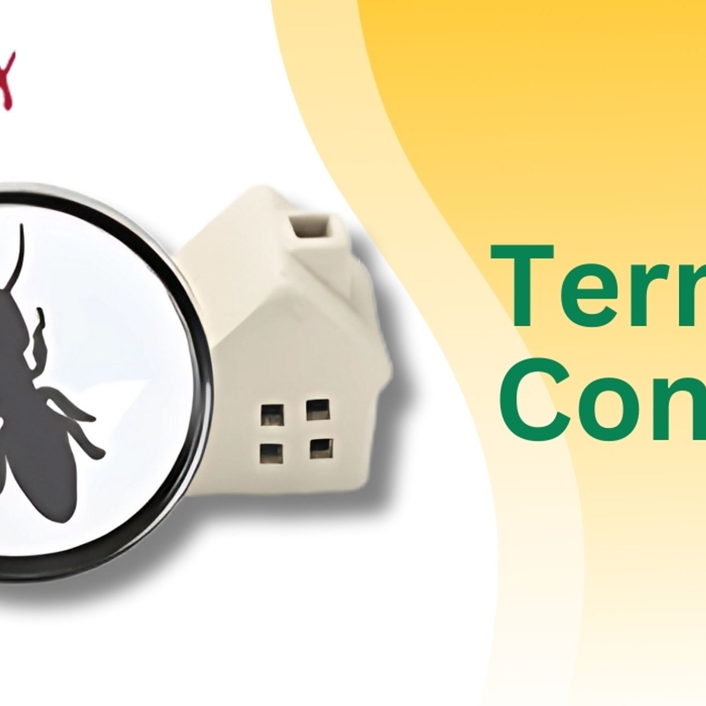 Termite Control