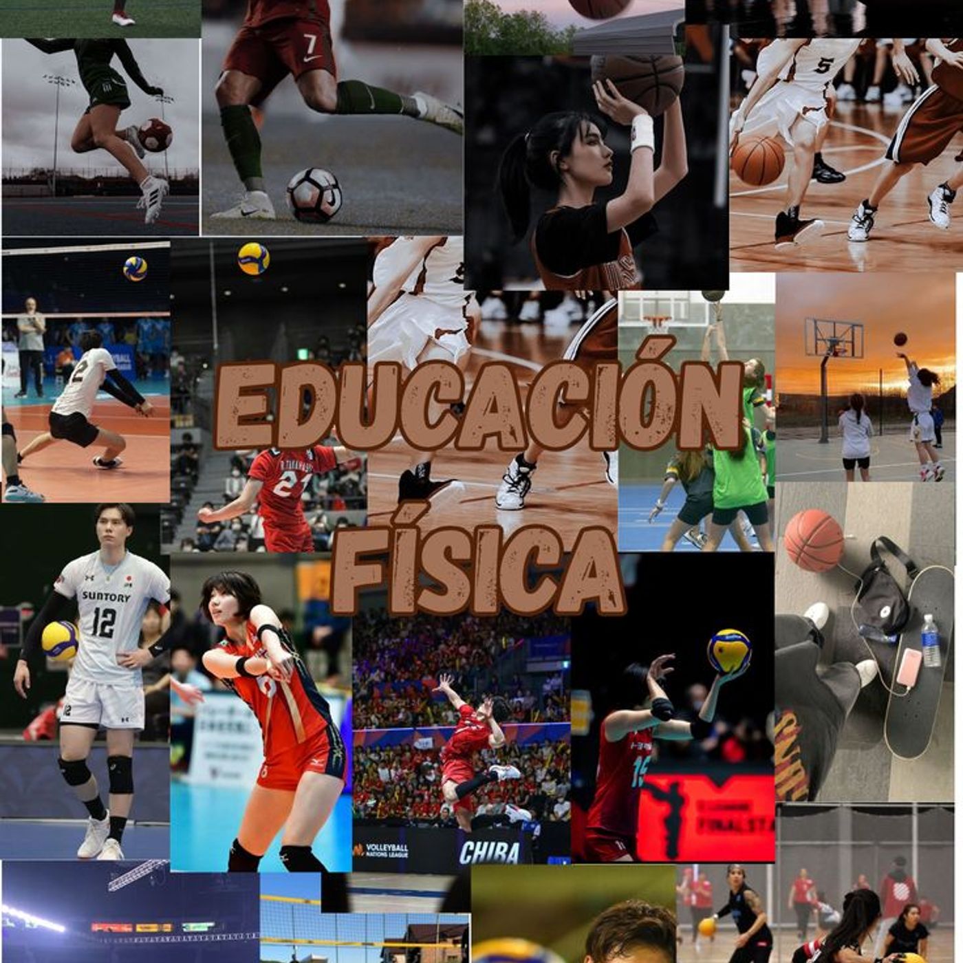 importancia de la educacion física