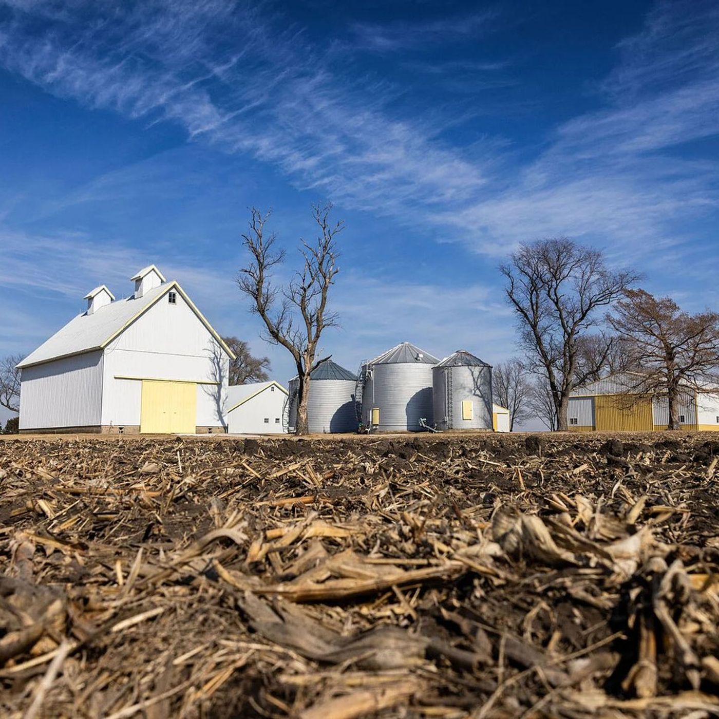 Farm income forecast spotlights challenges episode artwork