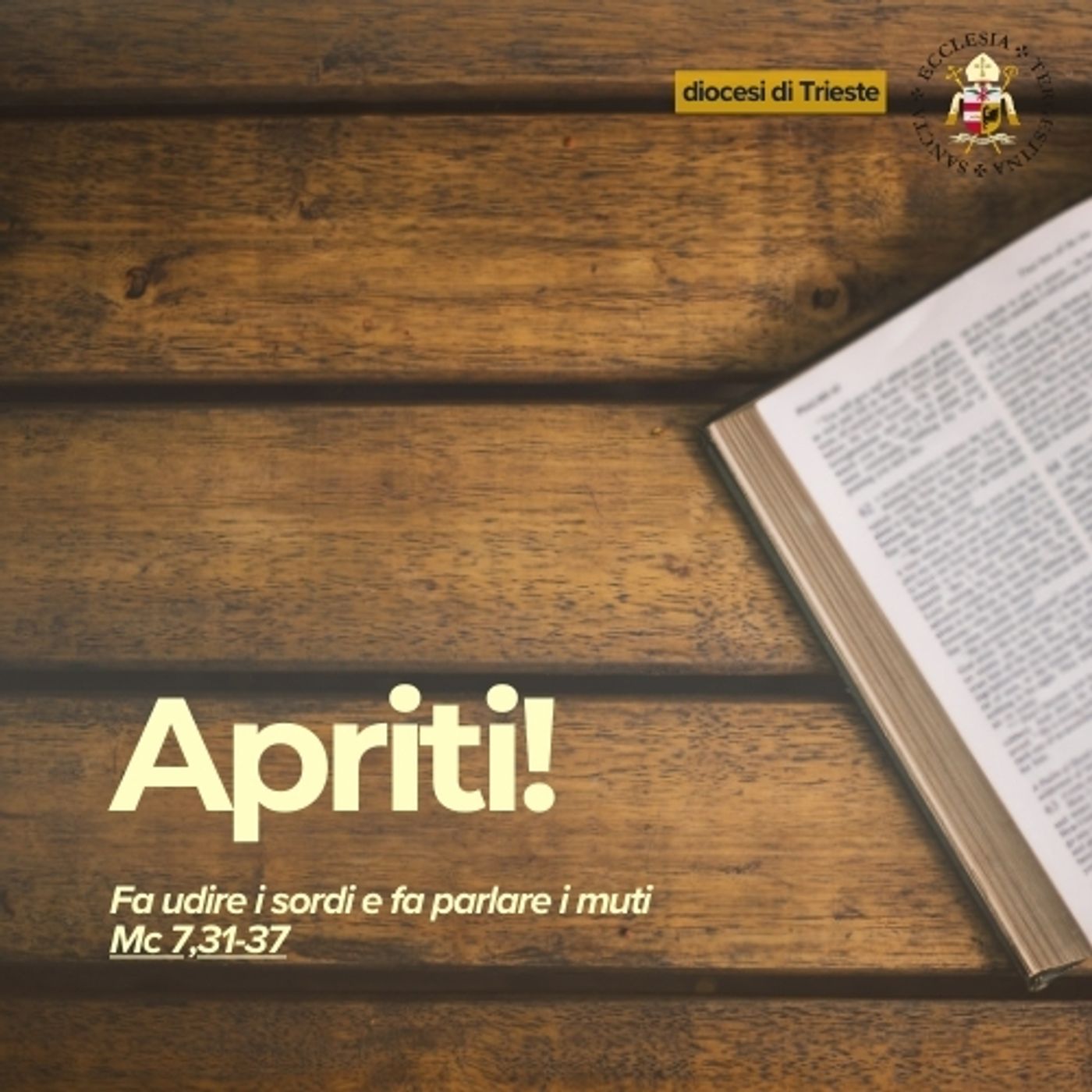 8 settembre - XXIII Domenica TO - Apriti! episode artwork