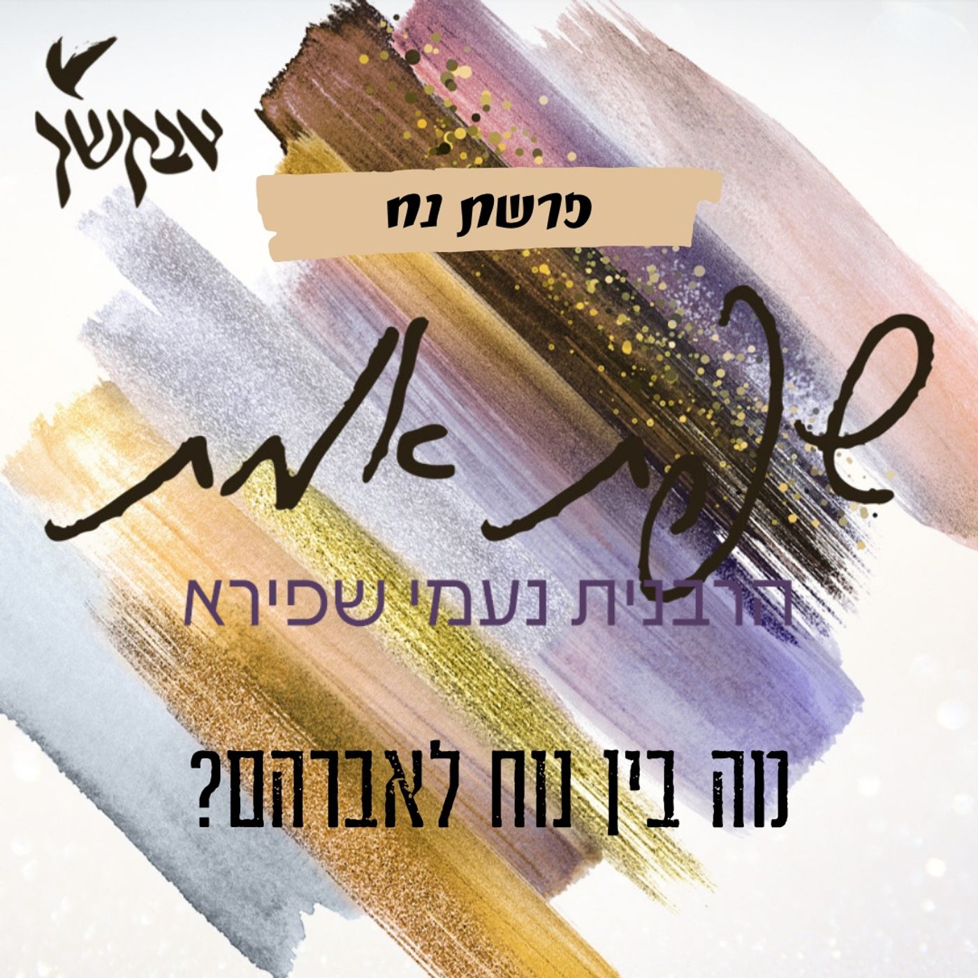 מה בין נח לאברהם? | שפת אמת לפרשת נח episode artwork