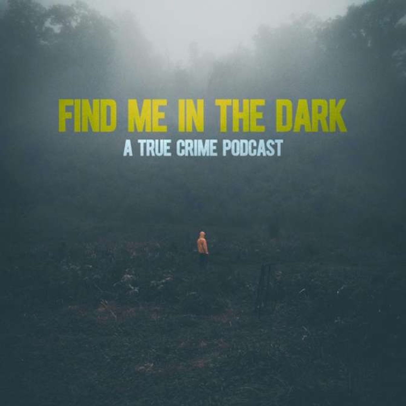 Meet Our Friend: Find Me In The Dark