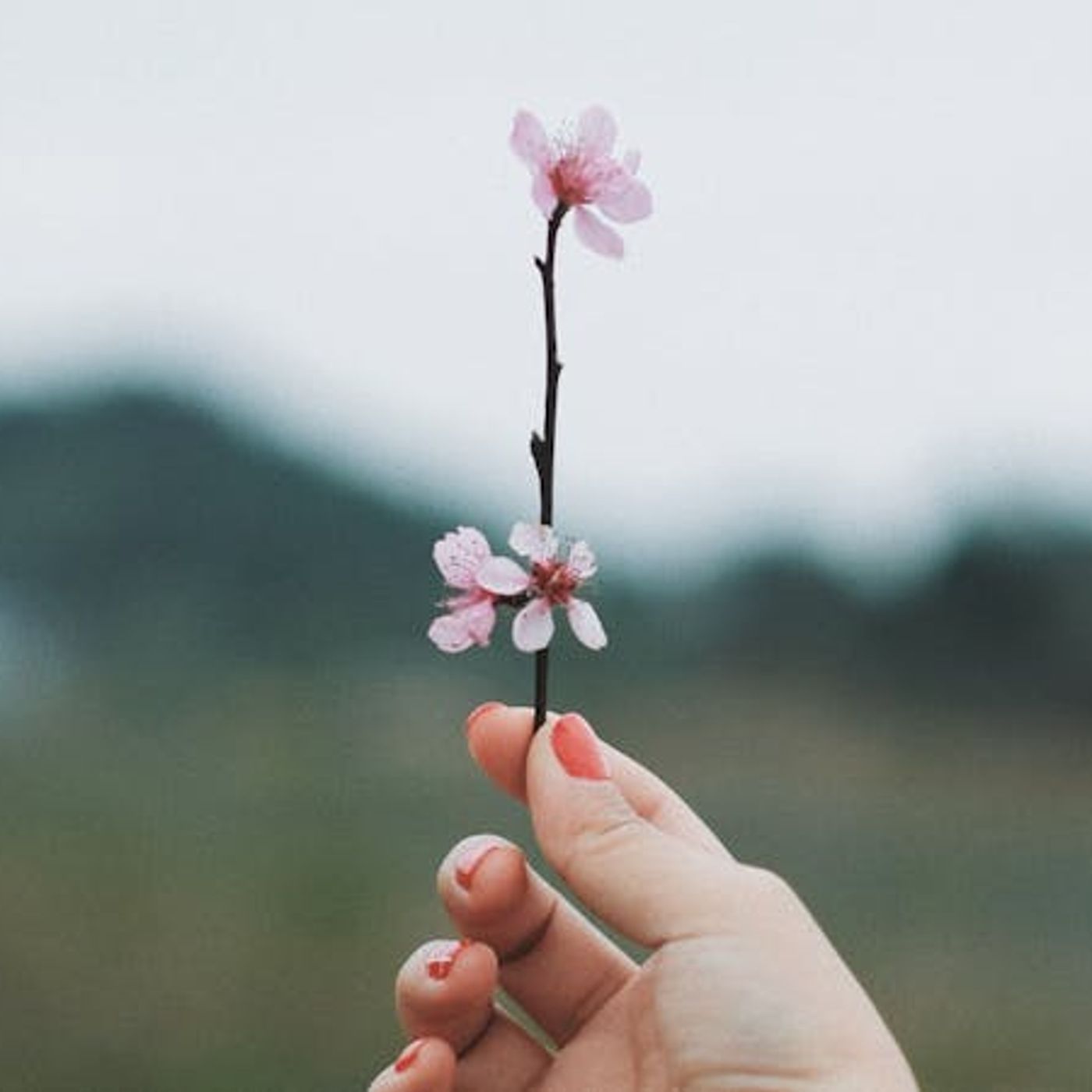 If Every Gift Comes from God, Why Thank Anyone Else?