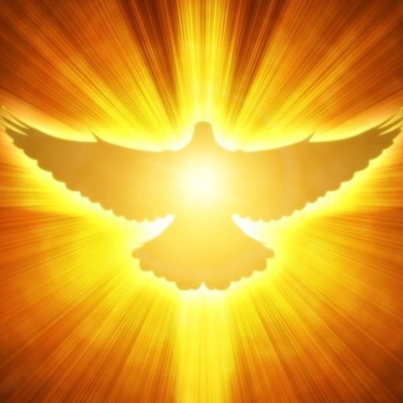 Meditazioni guidate ✨ La Porta della Luce