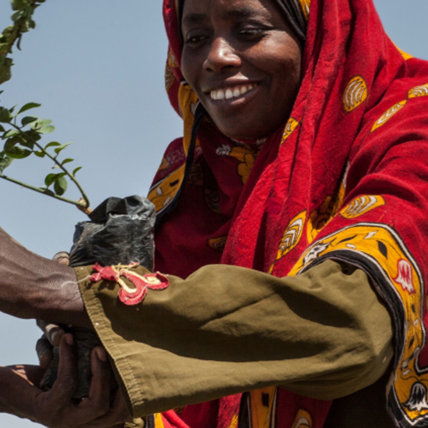 Le news di Re Soil Foundation