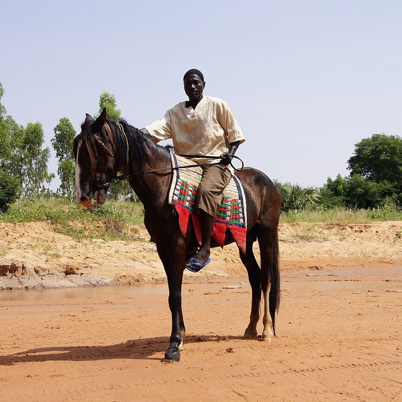 Le cheval, entre tradition et prestige dans la société zarma ( Magazine) episode artwork