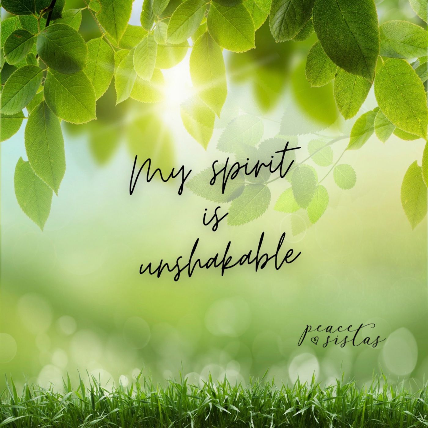 Peace Pause Meditation 4-20-26 episode artwork