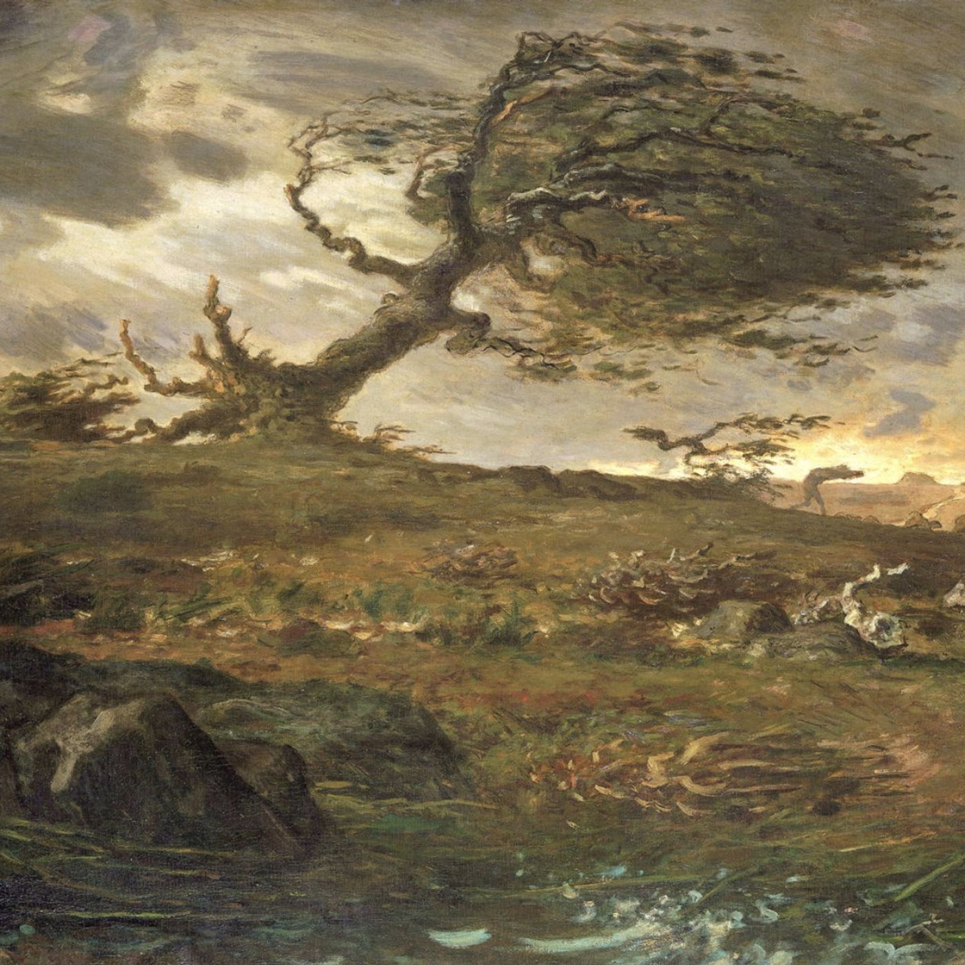 Mattia Bentivogli: I venti di questo pianeta