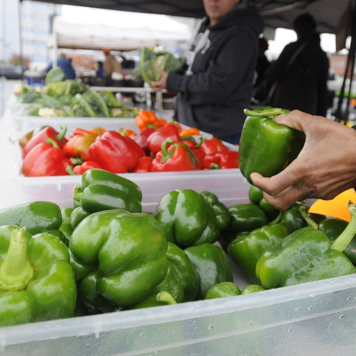 5 Things to Do in Kankakee County: Kankakee Farmers Market opens, Petals and Prosecco event and more episode artwork