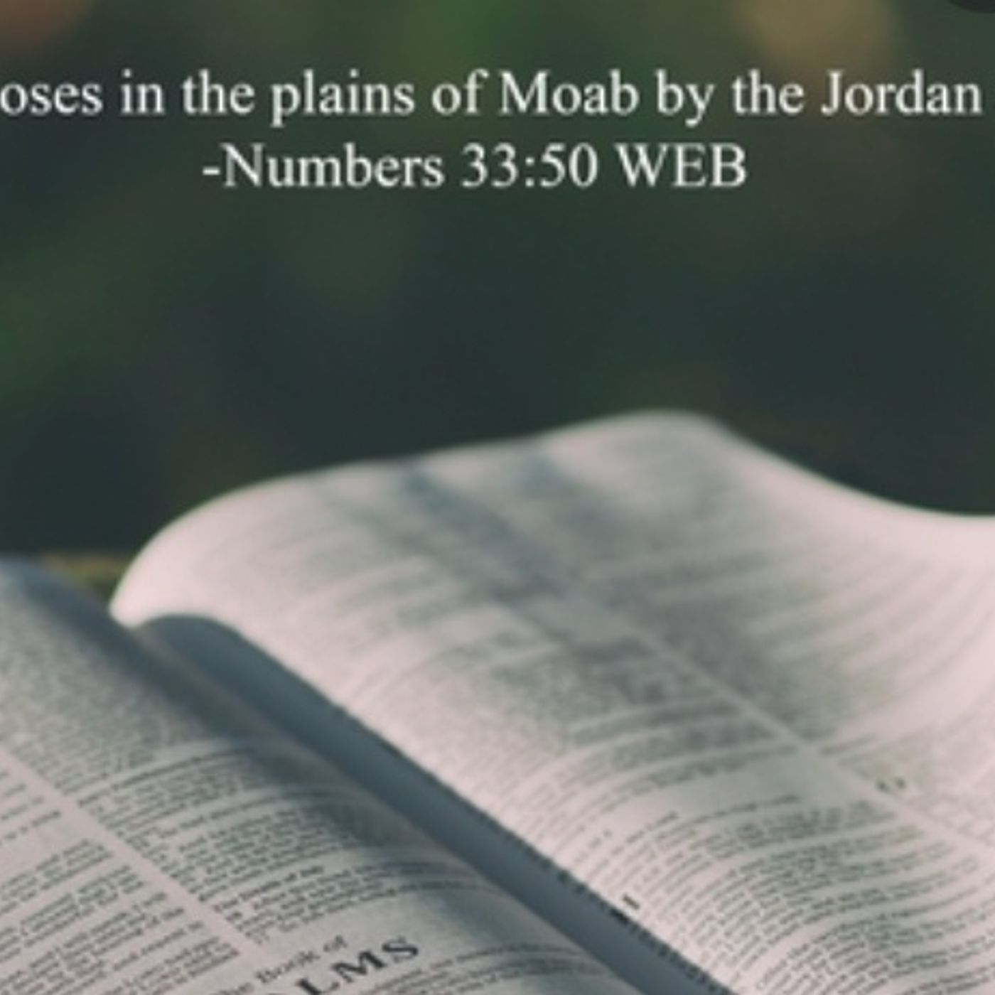 Numbers chapter 33
