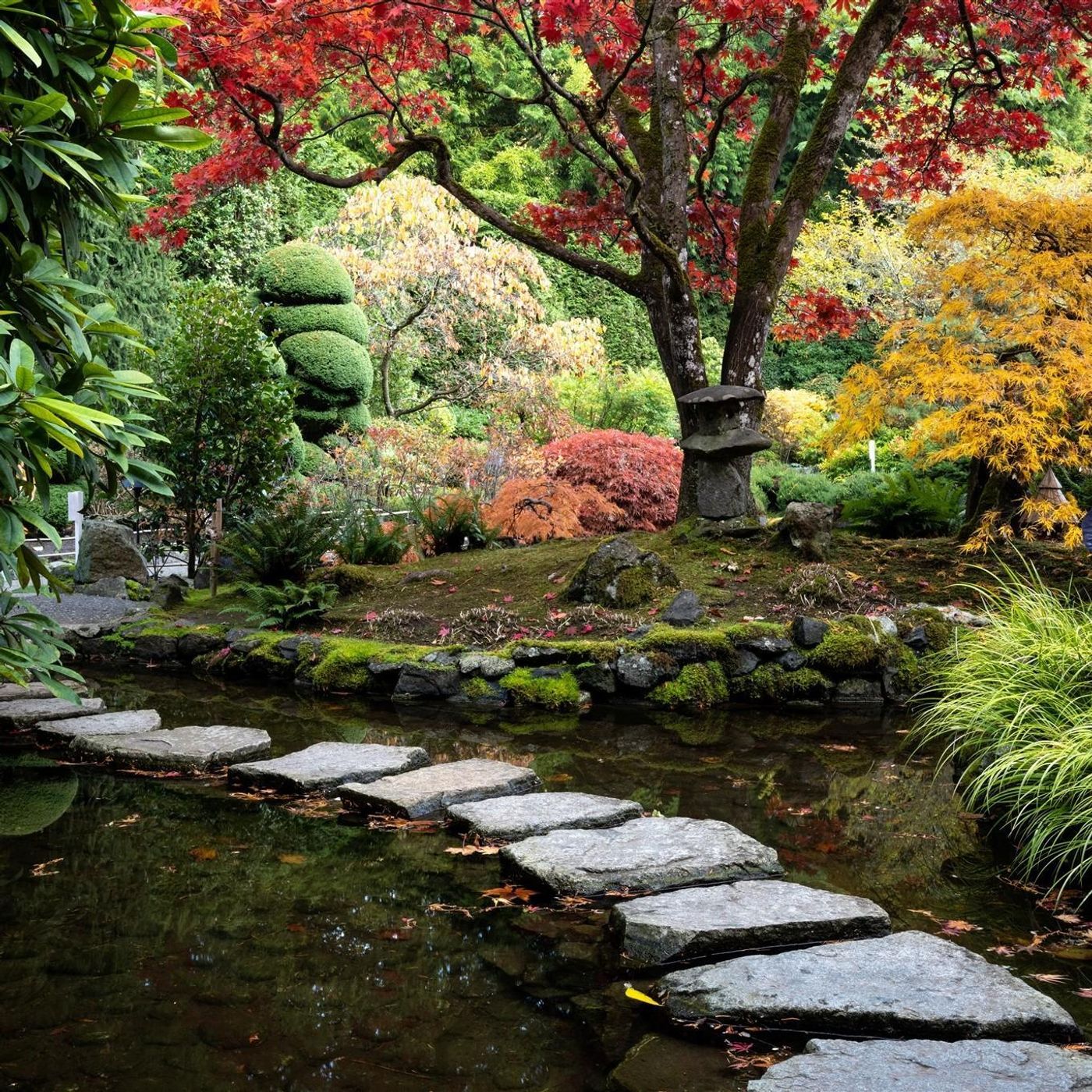 Japanese Garden Wind - 10 Hours Sleep Sound episode artwork