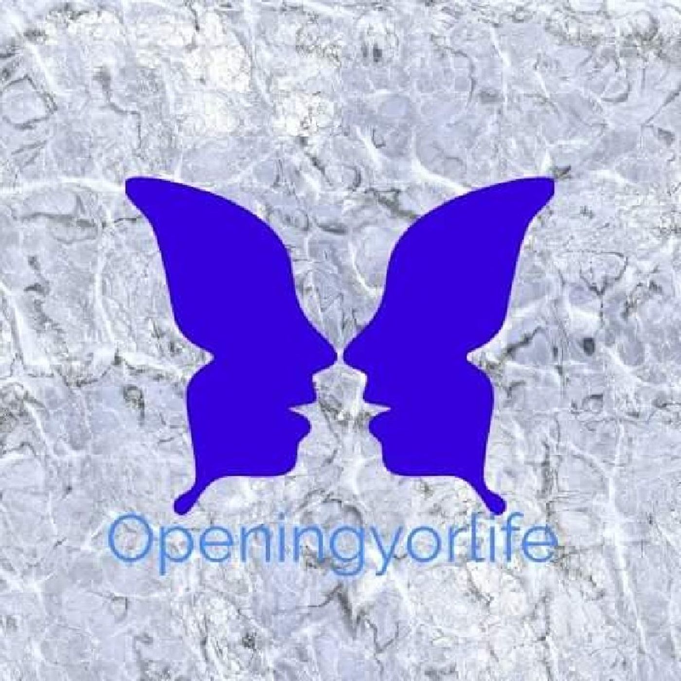 Openingyorlife episode artwork