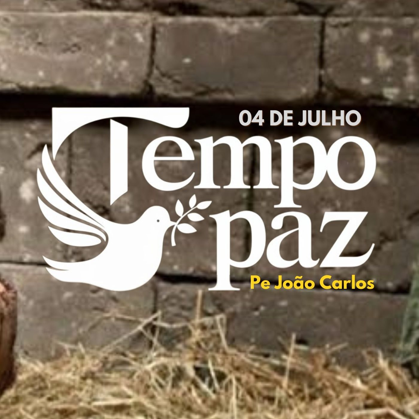 Pe. João Carlos - Meditação da Palavra