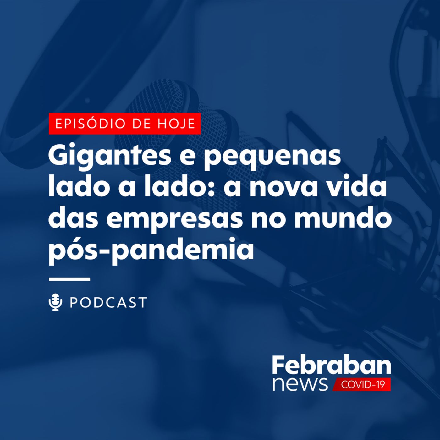 Entrevista Andrea Bisker - Gigantes e pequenas lado a lado: a nova vida das empresas pós-pandêmia episode artwork