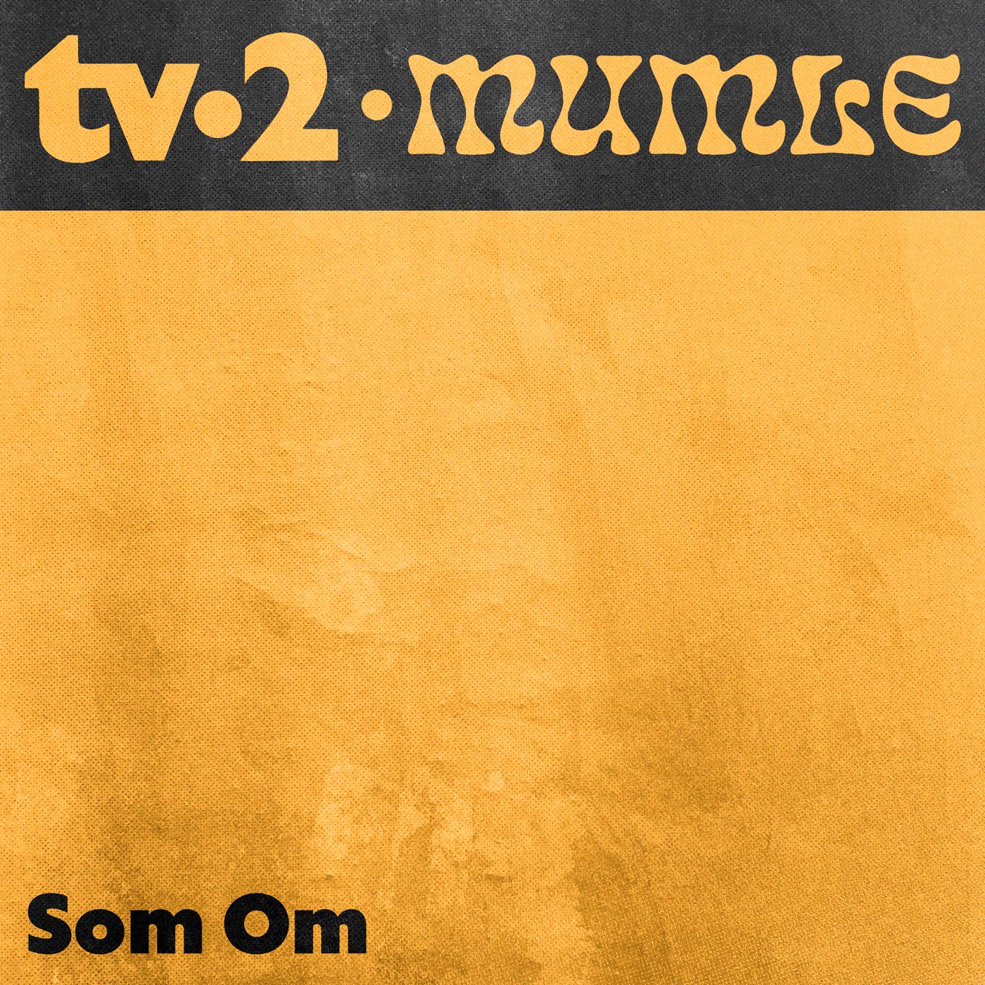 Vi Taler Kun Om TV-2